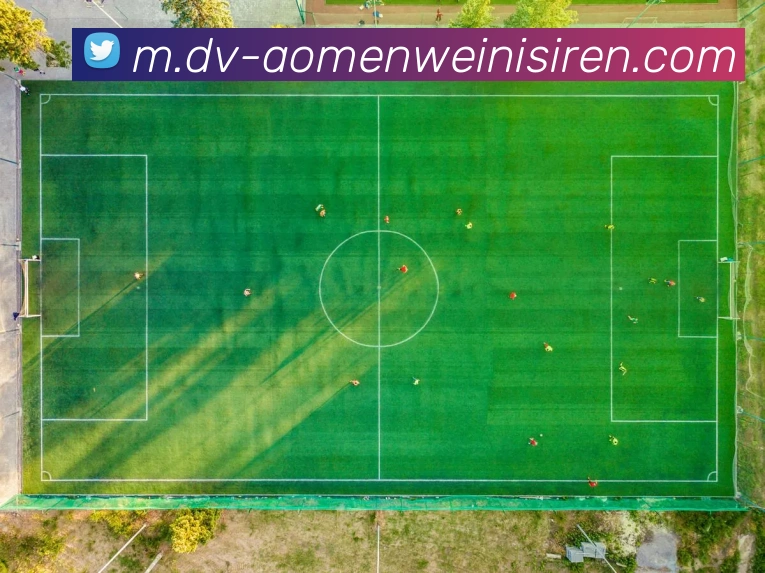 威尼斯人线上娱乐APP 封面图